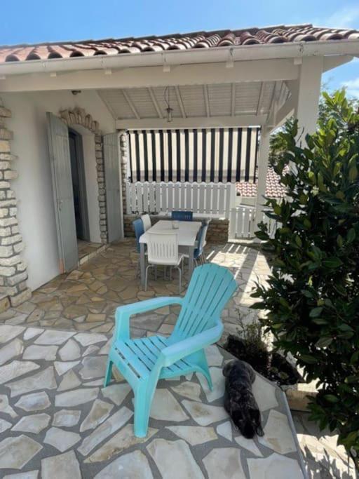 Vila Adorable Petite Maison A 400M De La Mer Saint-Georges-de-Didonne Exteriér fotografie